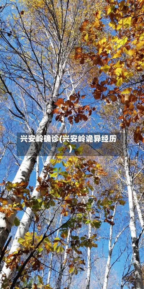 兴安岭确诊(兴安岭诡异经历)-第2张图片