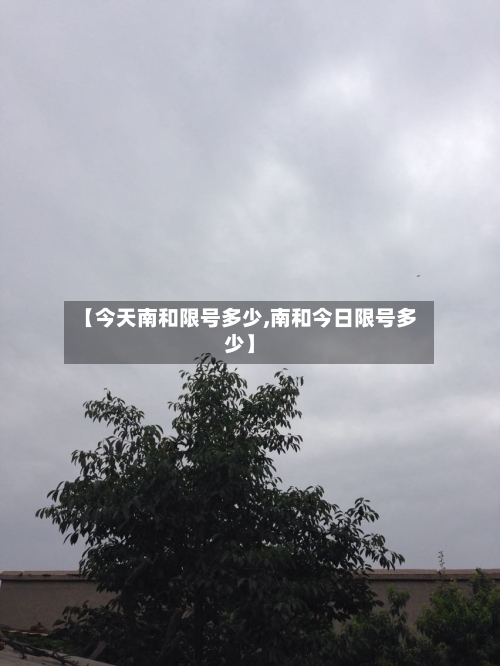 【今天南和限号多少,南和今日限号多少】-第2张图片