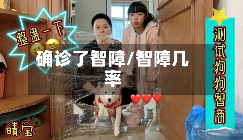 确诊了智障/智障几率-第3张图片