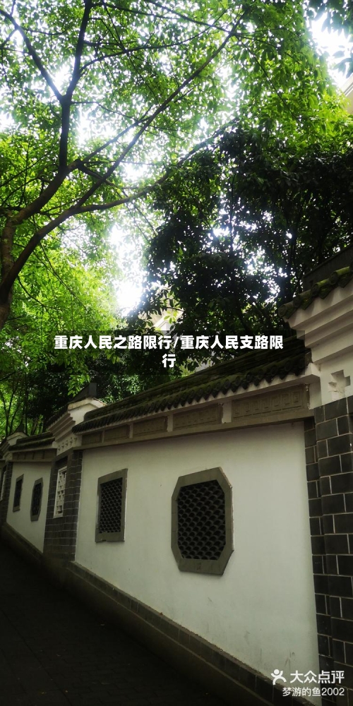 重庆人民之路限行/重庆人民支路限行-第2张图片