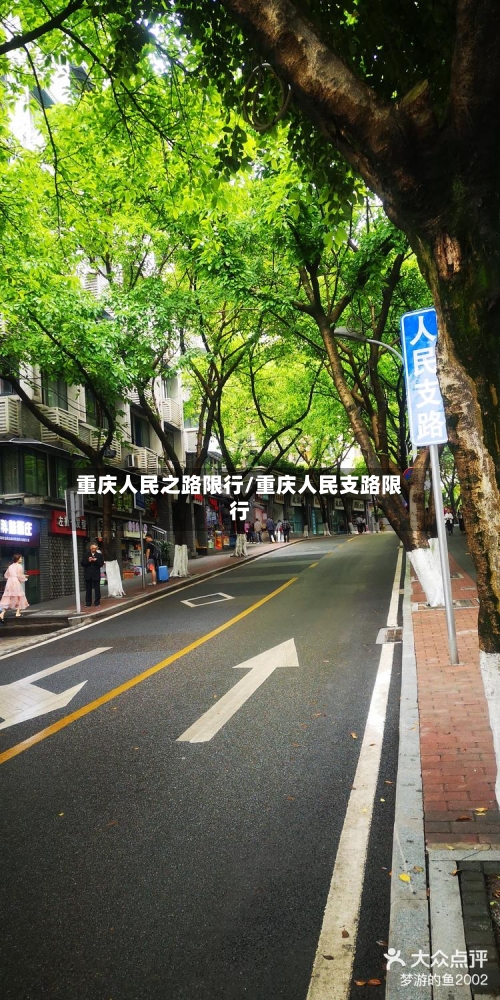 重庆人民之路限行/重庆人民支路限行-第3张图片