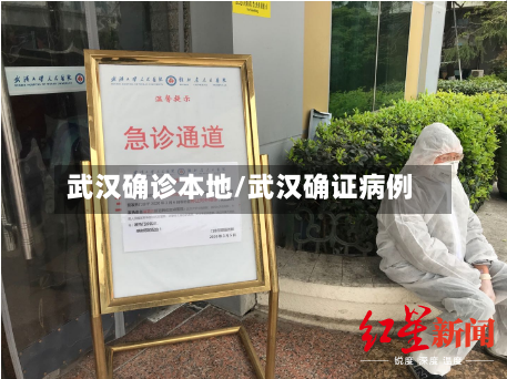 武汉确诊本地/武汉确证病例