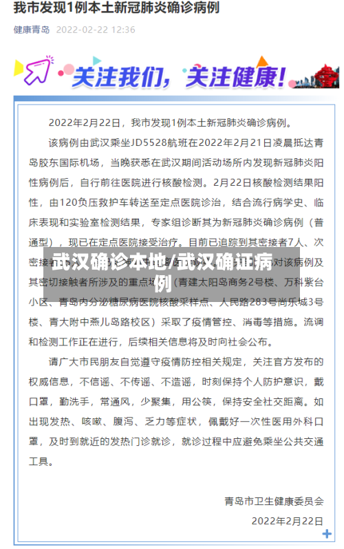 武汉确诊本地/武汉确证病例-第3张图片