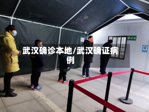 武汉确诊本地/武汉确证病例-第2张图片