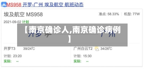 【南京确诊人,南京确诊病例】-第3张图片
