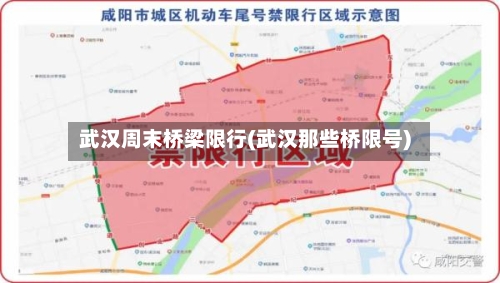 武汉周末桥梁限行(武汉那些桥限号)-第2张图片