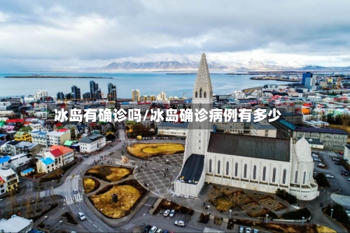 冰岛有确诊吗/冰岛确诊病例有多少