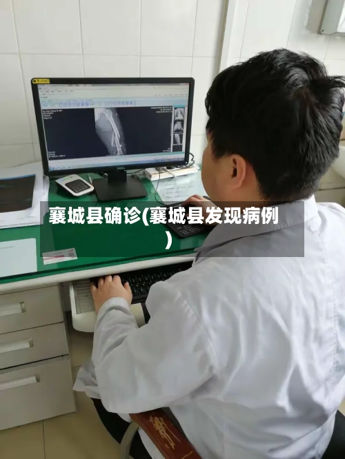 襄城县确诊(襄城县发现病例)