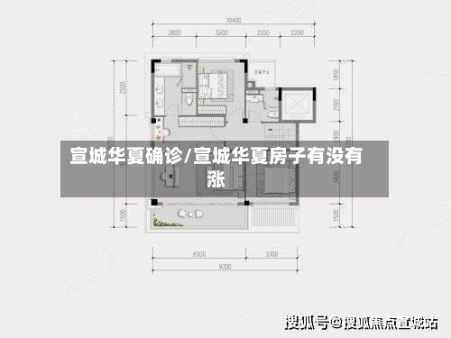 宣城华夏确诊/宣城华夏房子有没有涨