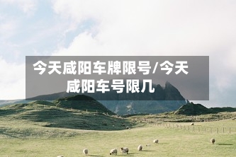 今天咸阳车牌限号/今天咸阳车号限几