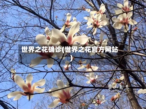 世界之花确诊(世界之花官方网站)-第2张图片