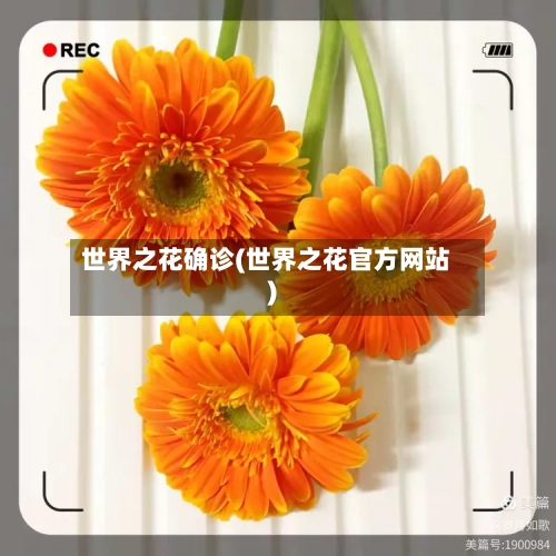 世界之花确诊(世界之花官方网站)