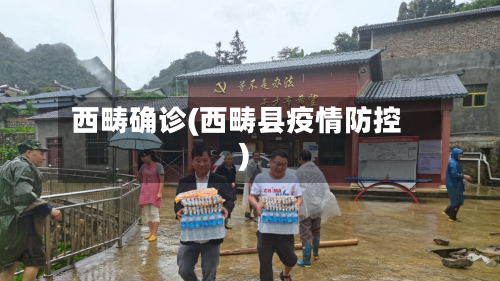 西畴确诊(西畴县疫情防控)-第2张图片