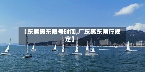 【东莞惠东限号时间,广东惠东限行规定】-第2张图片