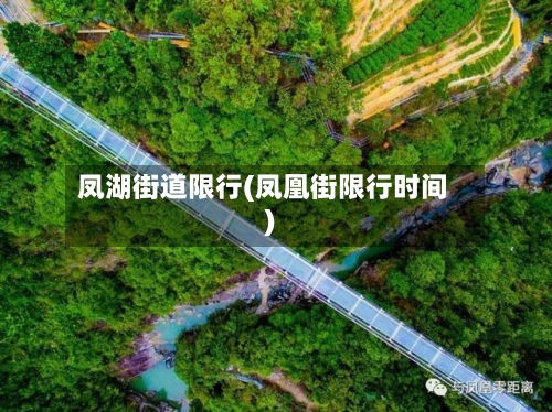 凤湖街道限行(凤凰街限行时间)