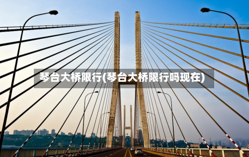 琴台大桥限行(琴台大桥限行吗现在)-第3张图片