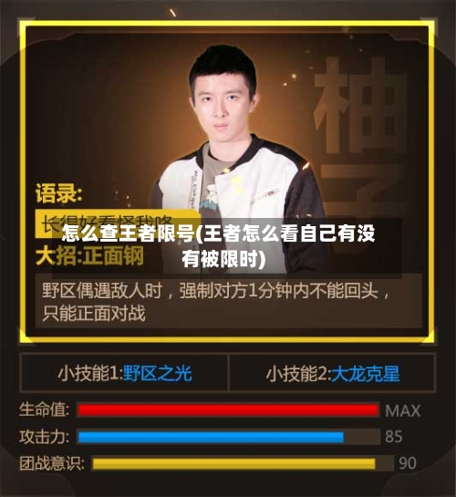 怎么查王者限号(王者怎么看自己有没有被限时)