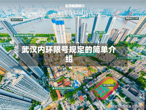 武汉内环限号规定的简单介绍-第3张图片