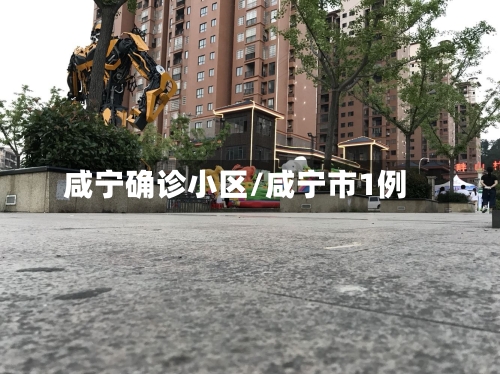咸宁确诊小区/咸宁市1例