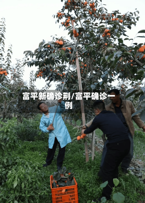 富平新确诊荆/富平确诊一例