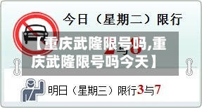 【重庆武隆限号吗,重庆武隆限号吗今天】-第3张图片