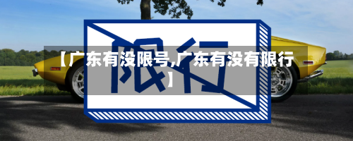 【广东有没限号,广东有没有限行】-第3张图片