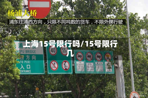 上海15号限行吗/15号限行几