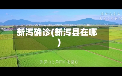 新泻确诊(新泻县在哪)