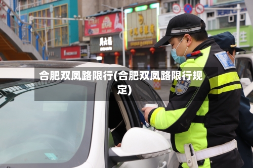合肥双凤路限行(合肥双凤路限行规定)