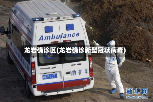 龙岩确诊区(龙岩确诊新型冠状病毒)-第2张图片
