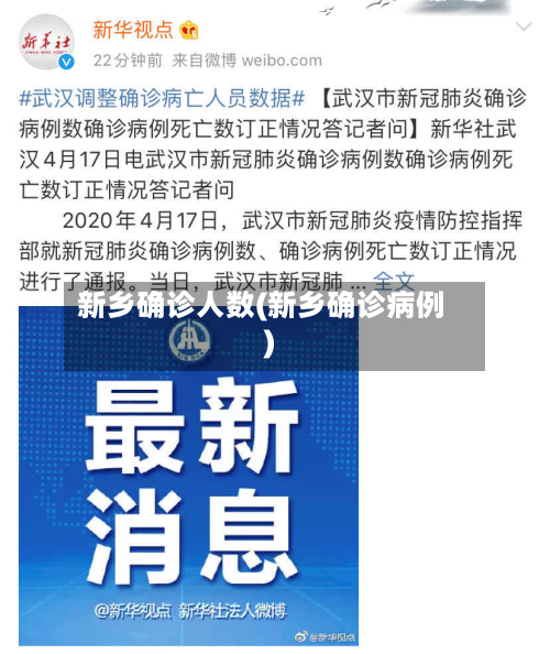 新乡确诊人数(新乡确诊病例)-第2张图片