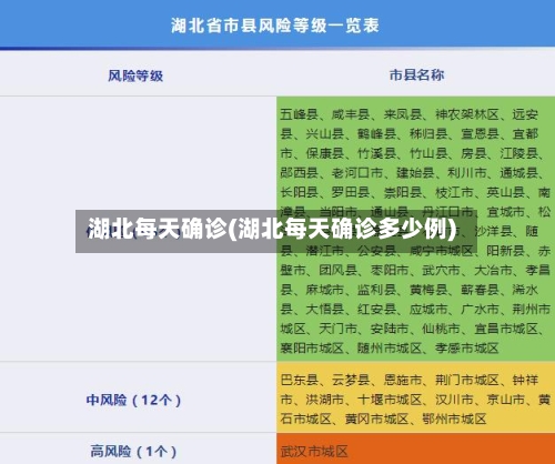 湖北每天确诊(湖北每天确诊多少例)-第2张图片
