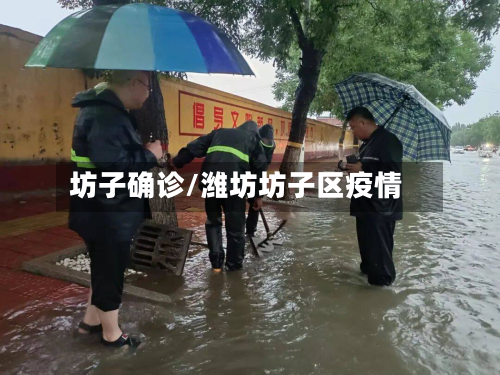 坊子确诊/潍坊坊子区疫情-第3张图片