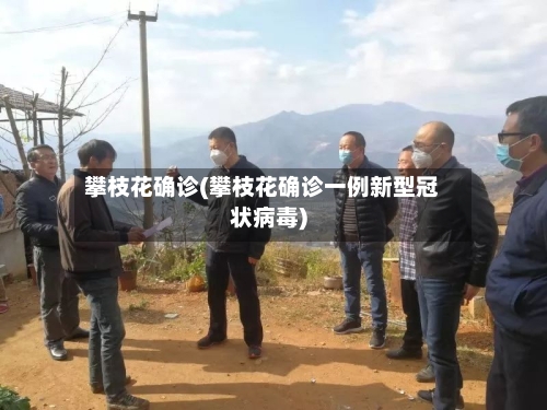 攀枝花确诊(攀枝花确诊一例新型冠状病毒)