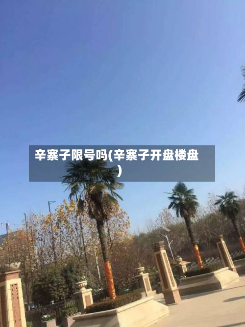 辛寨子限号吗(辛寨子开盘楼盘)-第2张图片