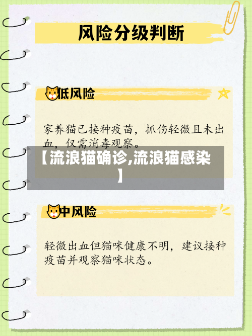 【流浪猫确诊,流浪猫感染】-第3张图片