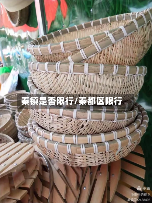 秦镇是否限行/秦都区限行
