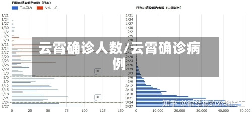 云霄确诊人数/云霄确诊病例