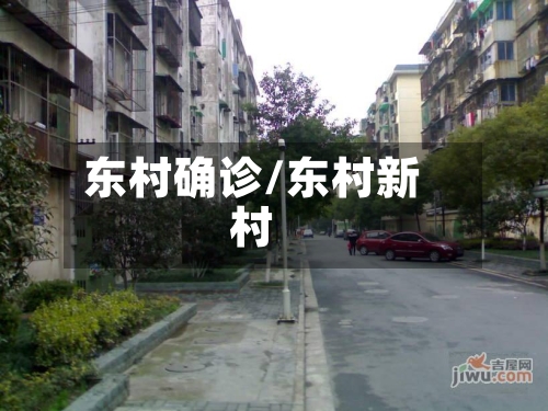 东村确诊/东村新村-第2张图片