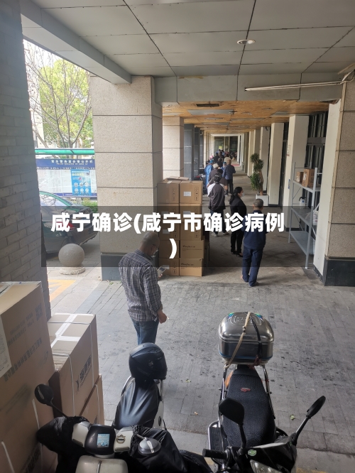 咸宁确诊(咸宁市确诊病例)