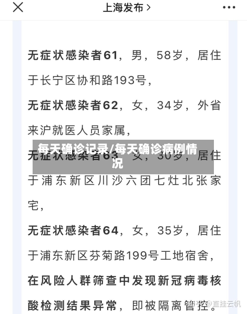 每天确诊记录/每天确诊病例情况