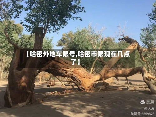 【哈密外地车限号,哈密市限现在几点了】