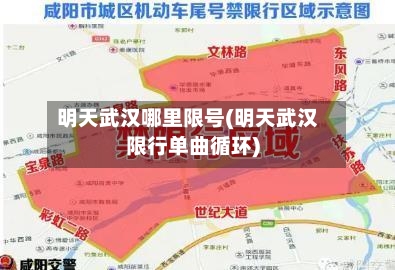 明天武汉哪里限号(明天武汉限行单曲循环)