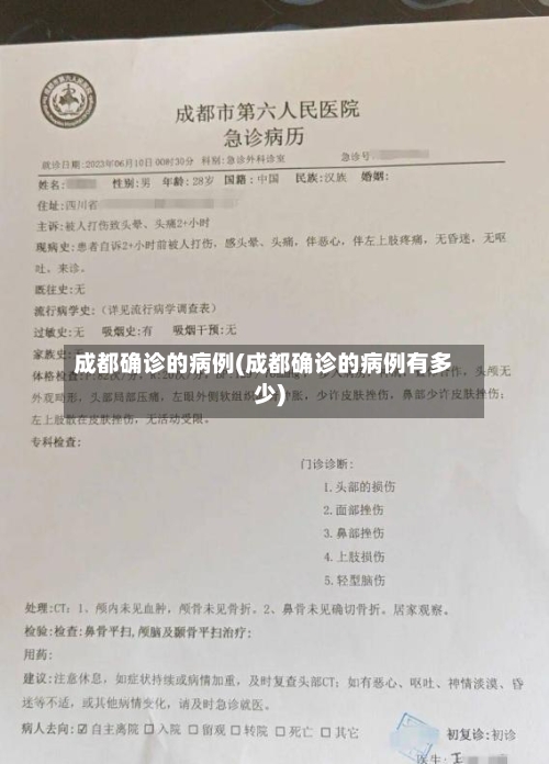 成都确诊的病例(成都确诊的病例有多少)-第2张图片