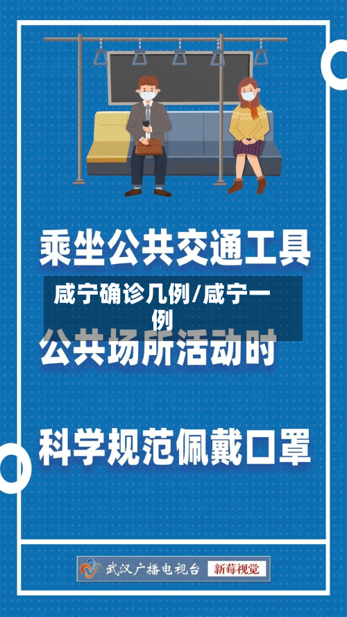 咸宁确诊几例/咸宁一例-第3张图片