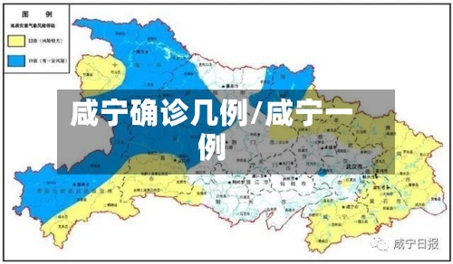 咸宁确诊几例/咸宁一例-第2张图片
