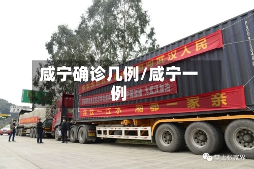 咸宁确诊几例/咸宁一例
