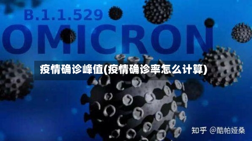 疫情确诊峰值(疫情确诊率怎么计算)-第2张图片