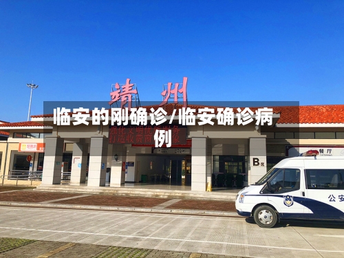 临安的刚确诊/临安确诊病例-第2张图片