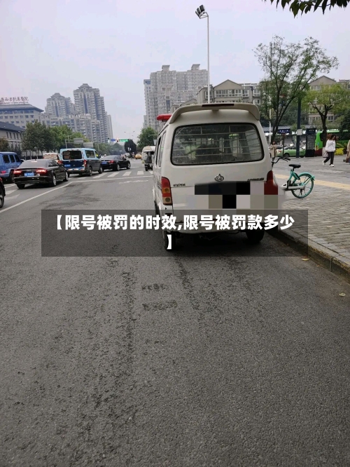 【限号被罚的时效,限号被罚款多少】-第2张图片